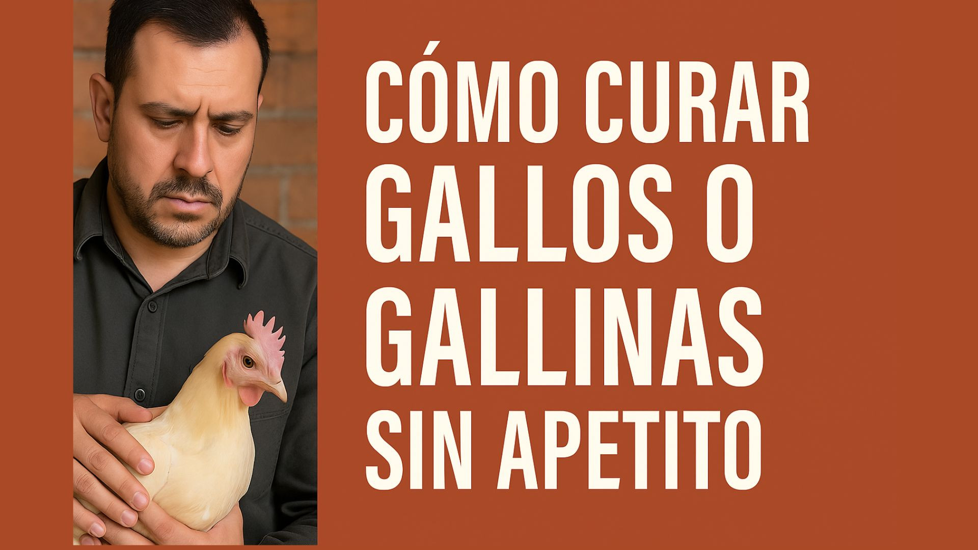 Como Curar Gallos o Gallinas Palidas Sin Apetito
