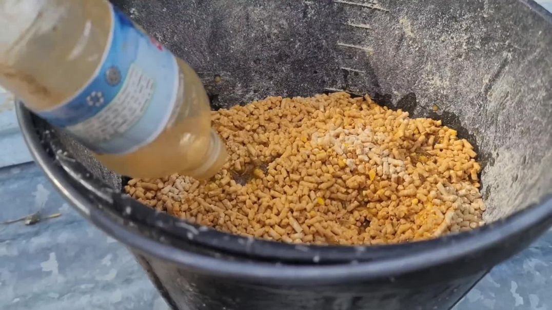 El Metodo Para las Gallinas Pongas Huevos (Parte 2)